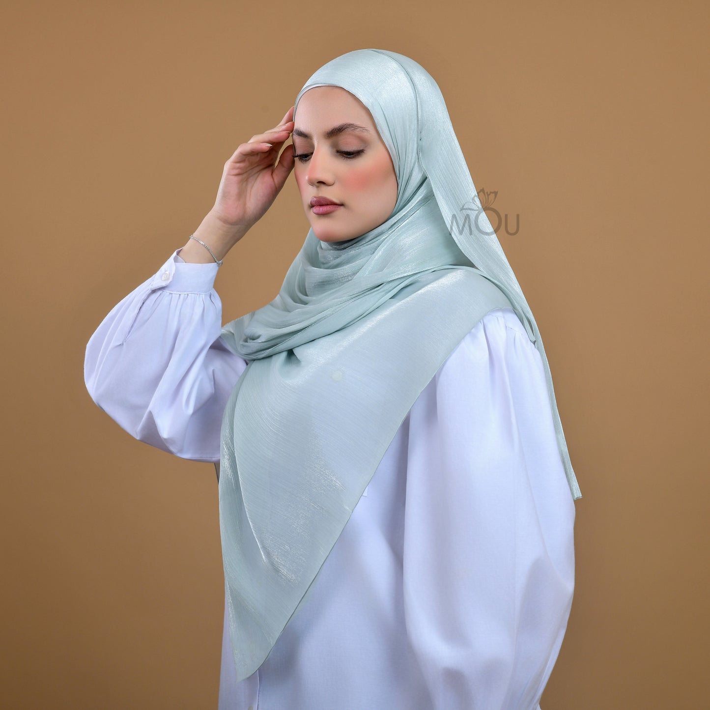 Silky Organza Hijab
