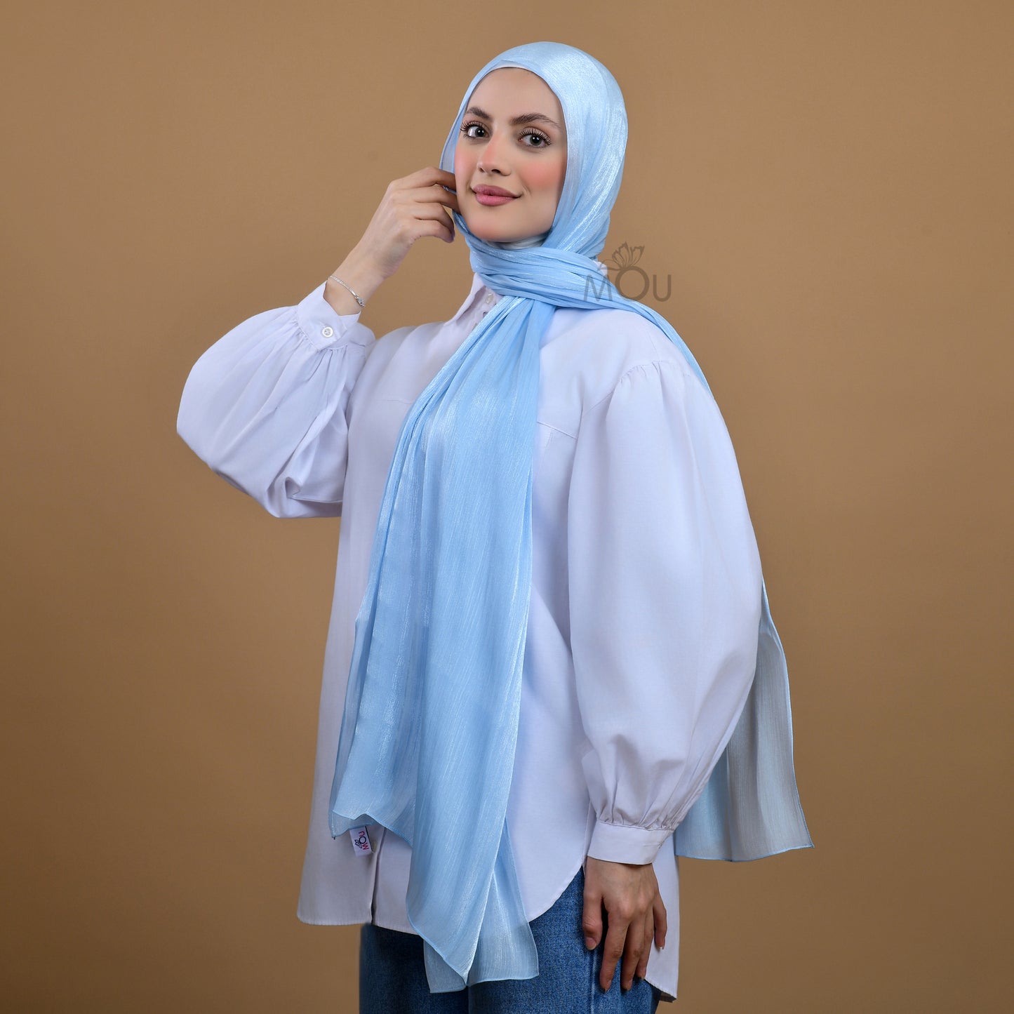 Silky Organza Hijab