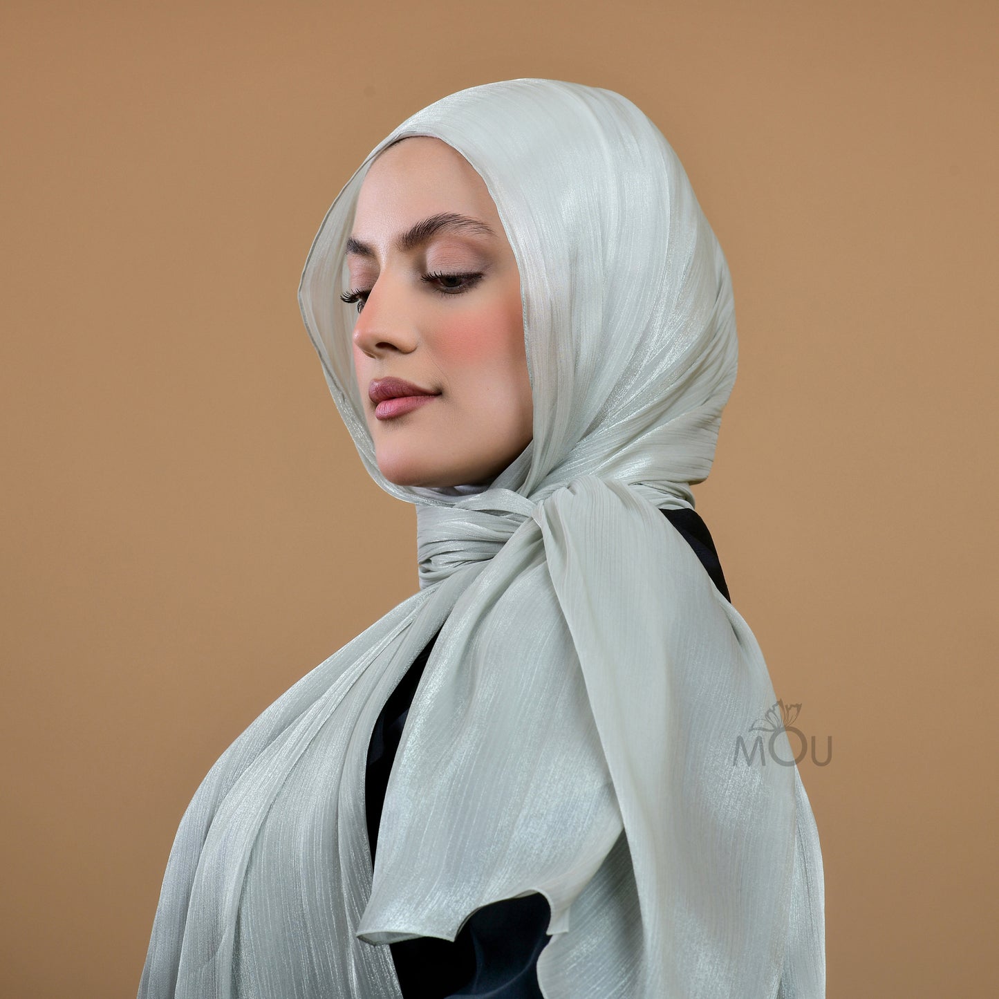 Silky Organza Hijab