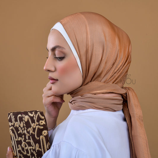 Silky Organza Hijab